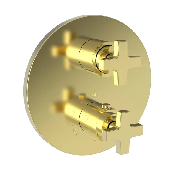 Newport Brass 3-2983TR/01 Dorrance 1/2x22 Round Thermostatic Trim Plate with Handle PVD Forever Brass