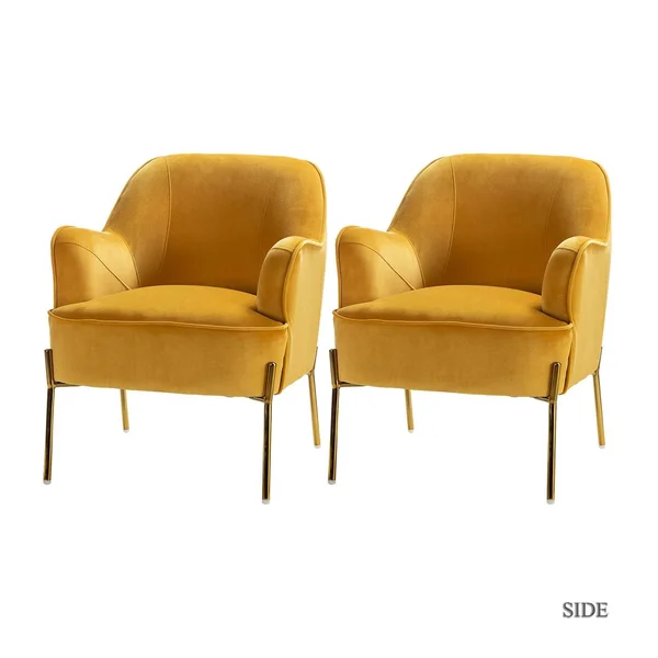 Jayden Creation Nora Blue Gold Legs Accent Chair (Set of 2)