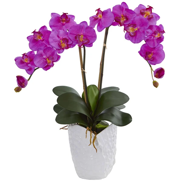 Nearly Natural Double Phalaenopsis Orchid Artificial Arrangement in White Vase