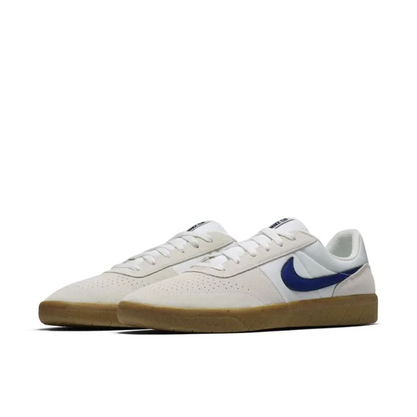 Nike SB Team Classic 10.5