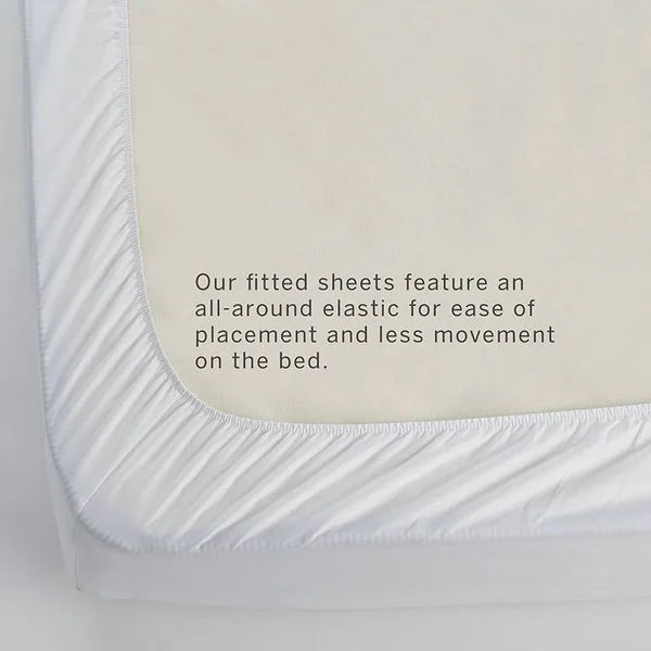The Company Store Legends Sand Solid 600-Thread Count Egyptian Cotton Sateen Queen Fitted Sheet, Brown