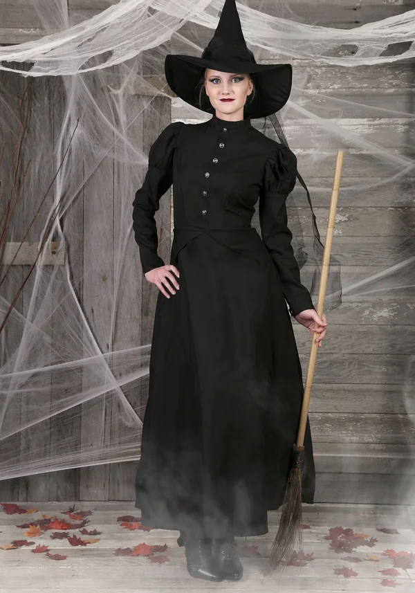 FUN Costumes Women's Plus Size Witch Costume, Black, 2X