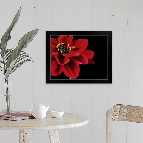 Red Flower on Black 02, Black Framed Wall Art, 20x16, Great Big Canvas