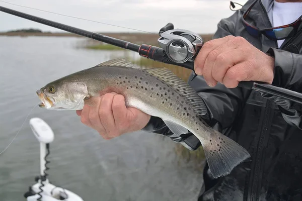 Shimano Bantam MGL Casting Reel