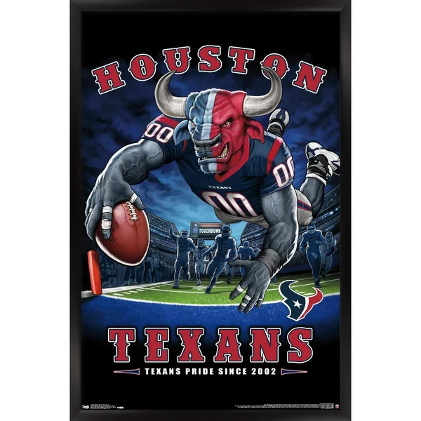 Trends International NFL Houston Texans - End Zone 17 Framed Wall Poster Prints Black Framed Version 22.375x22 x 34x22