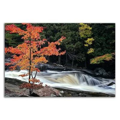 Autumn, Lower Rosseau Falls by David W. Pollard - Photograph Print on Canvas Loon Peak Size: 14x22 H x 21x22 W x 1.5x22 D