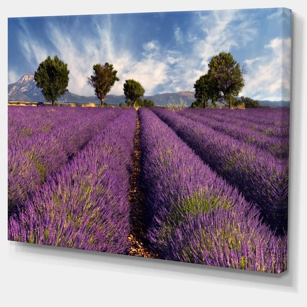 Design Art 'Lavender Field on Windy Afternoon' Photographic Print on Wrapped Canvas, Purple