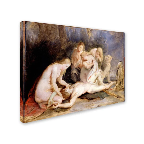 Trademark Fine Art 'Venus Mourning Adonis' Canvas Art by Peter Paul Rubens, Size: 18 x 24