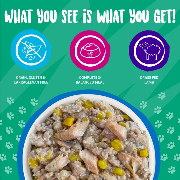 Weruva Hot Dayam Luscious Lamb Canned Dog Food - 14 oz - Case of 12