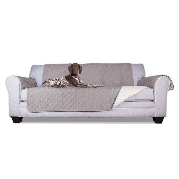 FurHaven Reversible Water-Resistant Furniture Protector Gray/Mist Sofa - 117" x 70"
