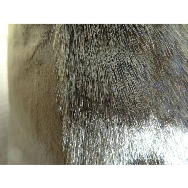 Plutus Tip Dyed Brown-Mink Handmade Throw Pillow Double Sided 22x22 x 22x22