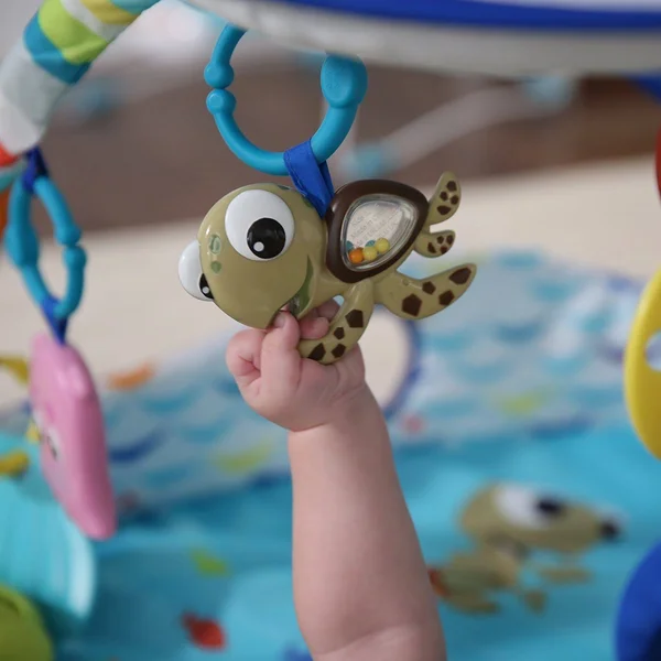 Disney Baby Lights & Music Gym, Mr. Ray Ocean, Finding Nemo