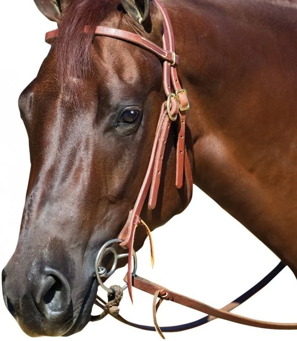 Professionals Choice Double Ring Snaffle Bit
