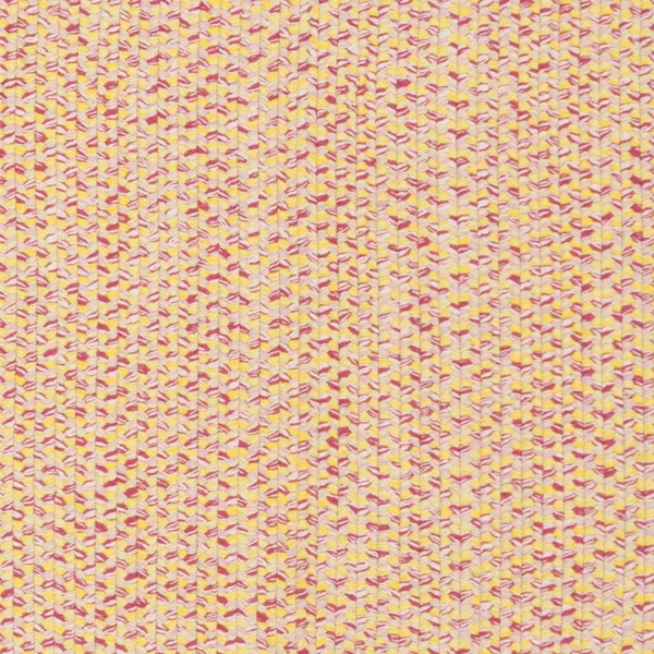 Safavieh Braided BRD164A 5'x8' Oval Rug