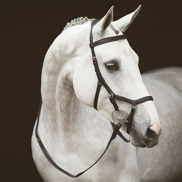 Rambo Micklem Competition Bridle - Black