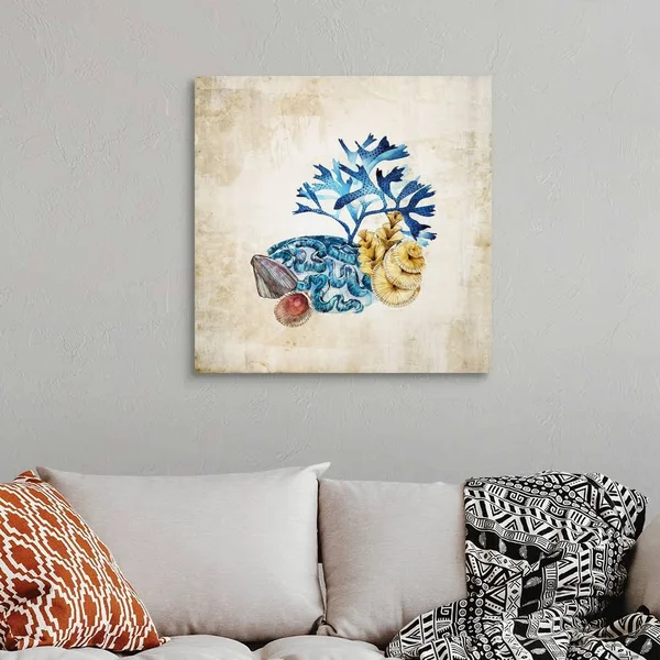 Sea Life II - Canvas Wall Art, 30x30, Great Big Canvas