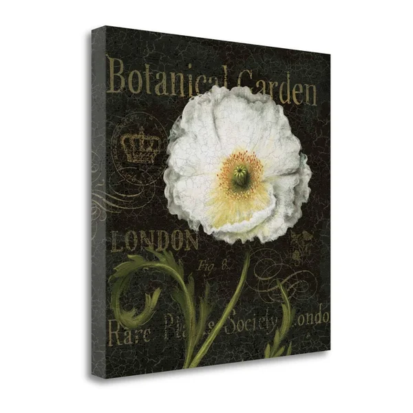 Tangletown Fine Art 20x22 x 20x22 Botanical Garden II Giclee Print on Gallery Wrap Canvas