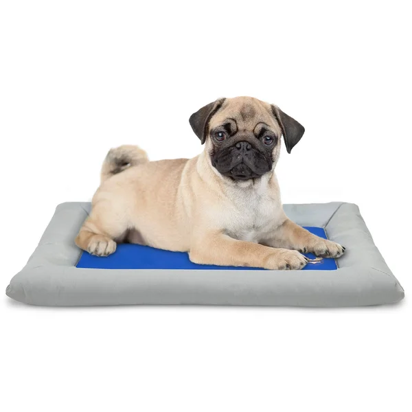 ARF Pets Dog Self Cooling Bed Pet Bed Solid Gel Based Self Cooling Mat for Pets - Includes A Foam Based Bolster Bed for Extra Com