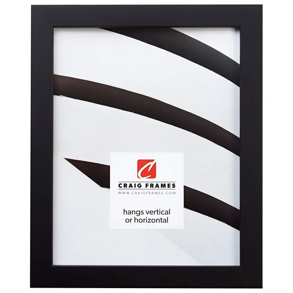 Craig Frames Confetti, 16 x 24 inch Picture Frame, Black