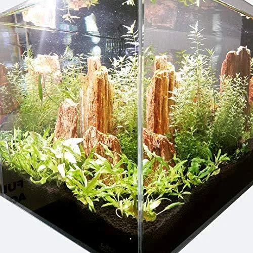 Lifegard Ultra Clear Crystal Aquarium, Medium