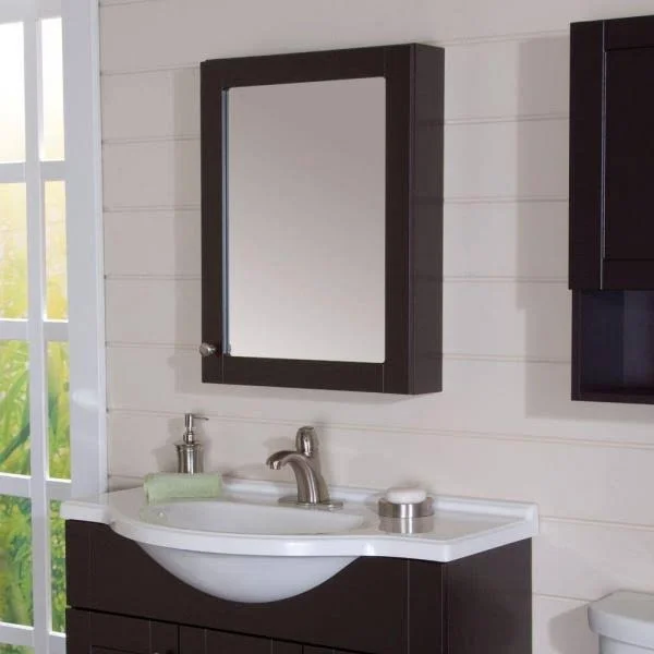 Del Mar 20 in. Medicine Cabinet in Espresso