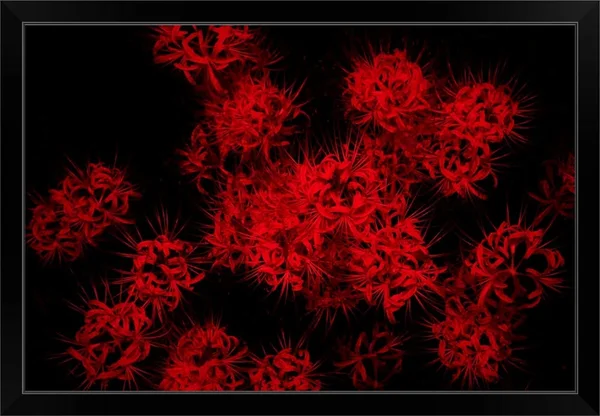 Scarlet Autumn, Black Framed Wall Art, 36x24, Great Big Canvas