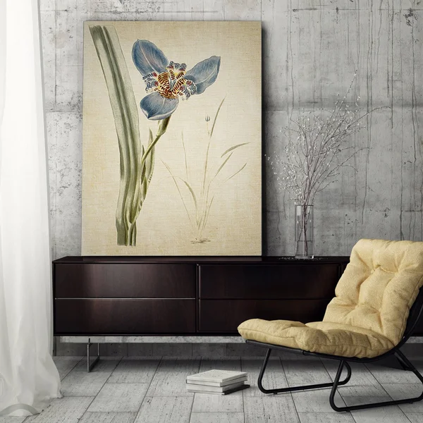 Wexford Home 'Botanical Plate I' Gallery-Wrapped Canvas Art - 18 x 24
