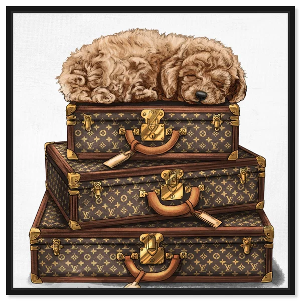 Oliver Gal Fashion and Glam Wall Art Framed Canvas Prints 'Sleeping Poodle' Travel Essentials - Brown, White - 24 x 24 - Gold