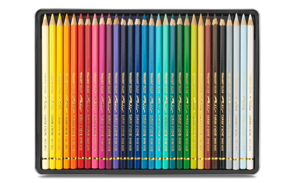 Caran d&Ache : Pablo Colored Pencil : Set of 30
