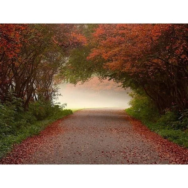 Easy Art Prints Lars Van De Goor's 'Arc De Triomphe' Premium Canvas Art (18 x 24)
