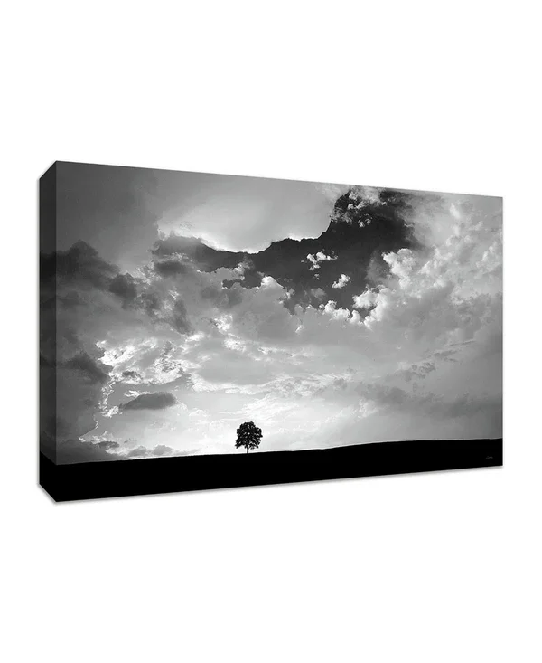 Tangletown Fine Art Lone Tree by Aledanda Fine Art Giclee Print on Gallery Wrap Canvas - 45x22 x 30x22 - Multi