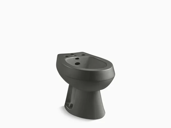 KOHLER K-4854-58 San Tropez Vertical Spray Bidet with 4 Faucet Holes, Thunder Grey