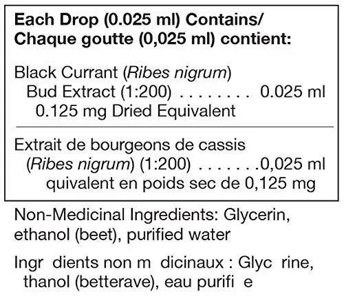 Gemmo - Ribes Nigrum 4.5 oz (125 mL) by Seroyal