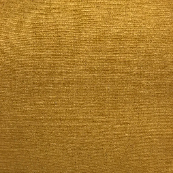 Plutus 16x22 x 16x22 Wild Turmeric Luxury Throw Pillow in Gold