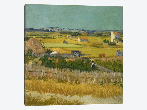 Vincent Van Gogh Canvas Art Picture - The Harvest