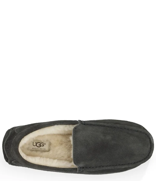 Ugg Men's Ascot