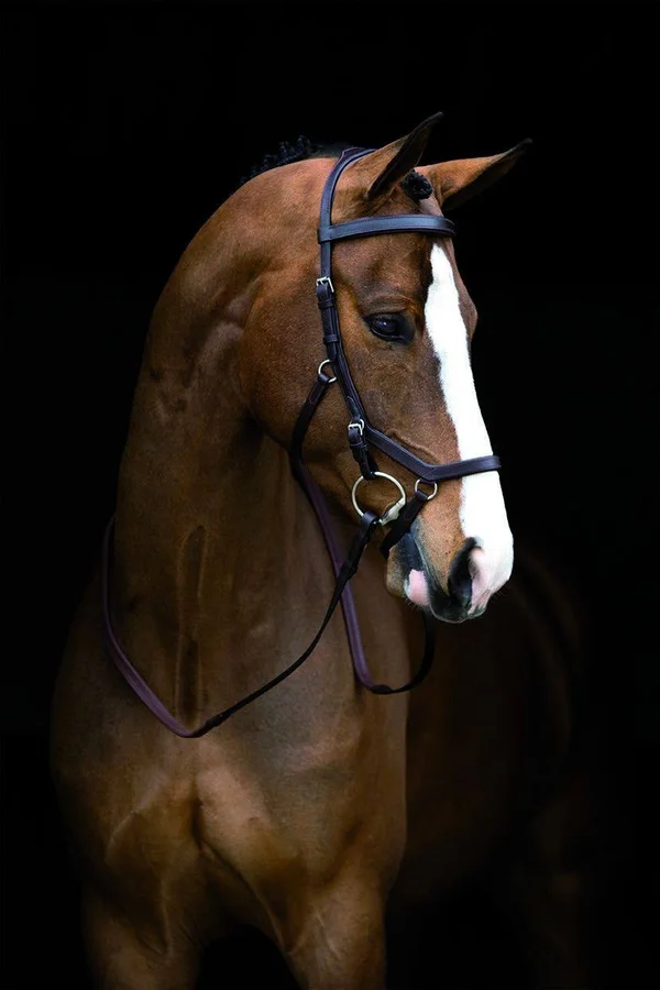Rambo Micklem Competition Bridle - Black