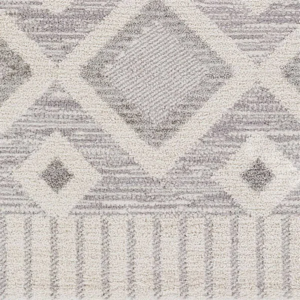 Valencia (Vlc-2312), 6& 7x22 x 9& Rug