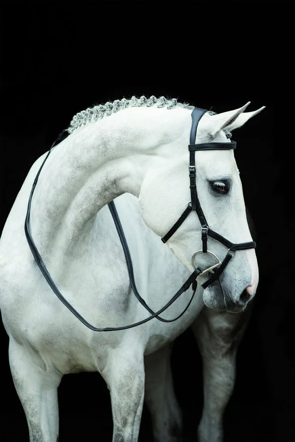 Rambo Micklem Competition Bridle - Black