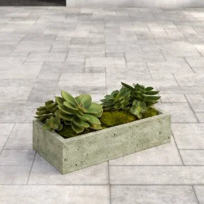 Scribner Cast Stone Planter Box Greyleigh Color: Pietra Nuova - Size: 5x22 H x 22x22 W x 11x22 D