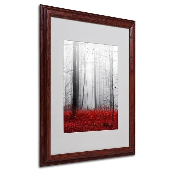 Trademark Fine Art Little Red Carpet Artwork with Wood Frame by Philippe Sainte Laudy, 16 by 20-inch