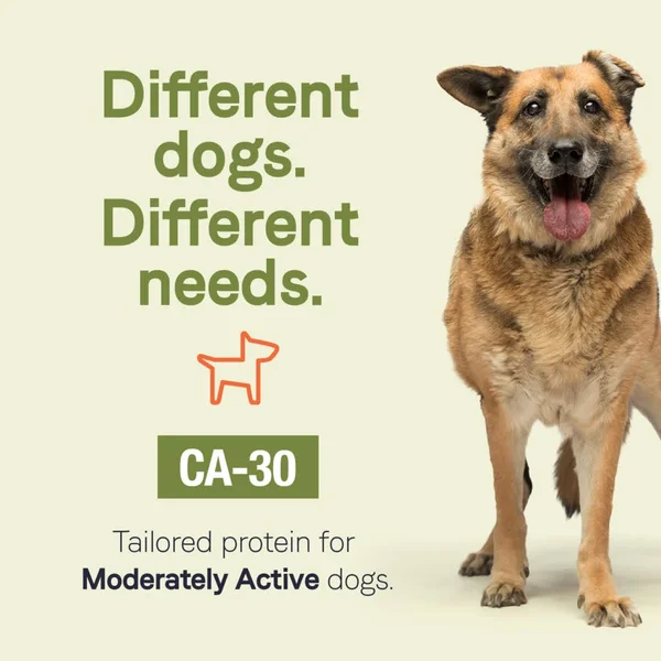 Canidae CA-30 Real Turkey, Peas & Carrots Recipe Dry Dog Food - 25-lb