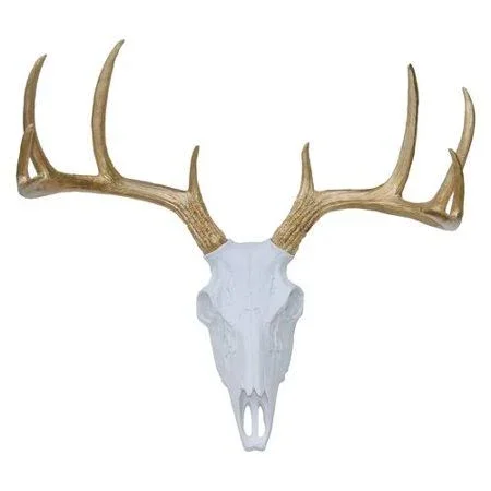 Faux Taxidermy Buck Skull Wall D閏or Color: White/Bronze