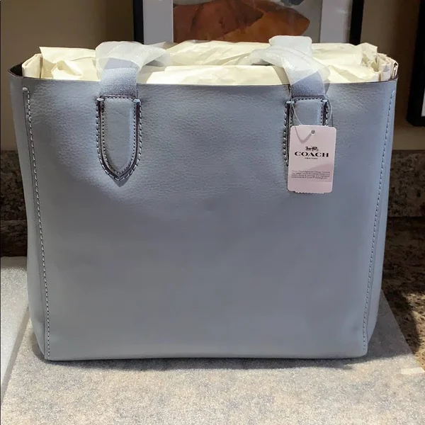 Coach Women's Derby Tote Bag - Sv/Mist