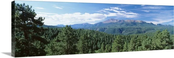 Trees in Front of Pike's Peak Mountain - Pike Peak National Forest, Colorado, Canvas Wall Art, 48x16, Great Big Canvas