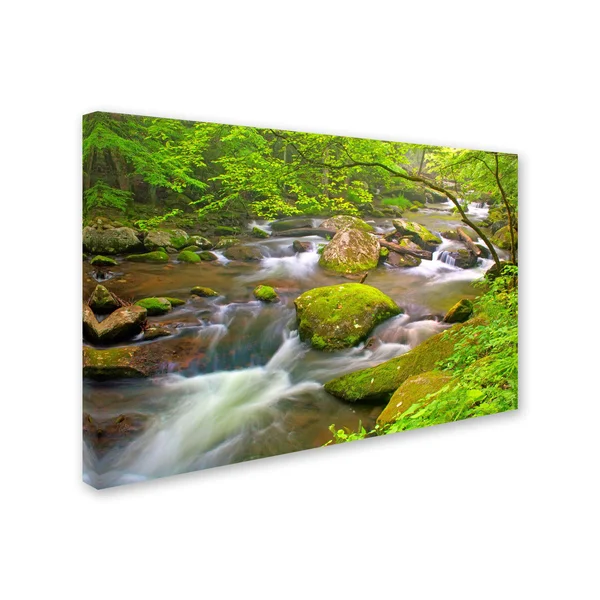 Trademark Art Bob Rouse 'Little River Rapids' Gallery-Wrapped Canvas Art