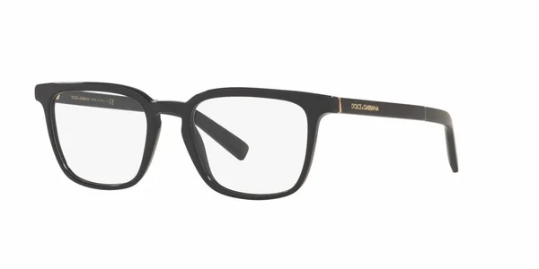 Dolce & Gabbana DG3307 501 Black