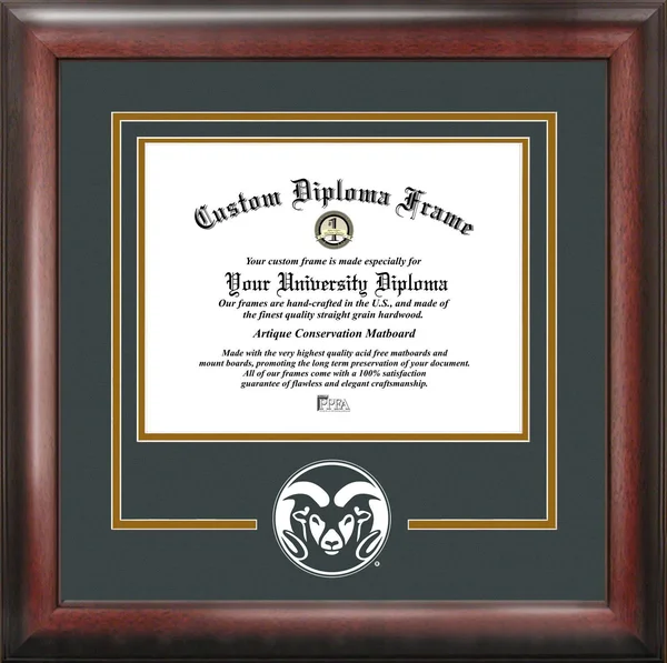 Campus Images Colorado State 9W x 7H Spirit Diploma Frame, Mahogany