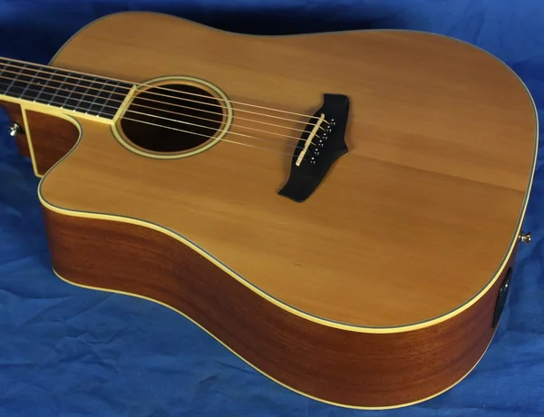 Tanglewood TW10LH Winterleaf Dreadnought C/E Acoustic Left