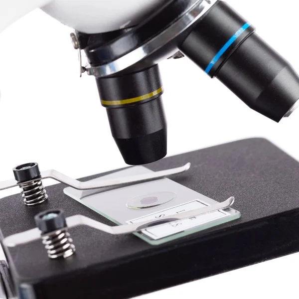 Iqcrew Science Discovery Set with 20X Stereo Microscope and 1000x Compound Microscope for Kids and Students